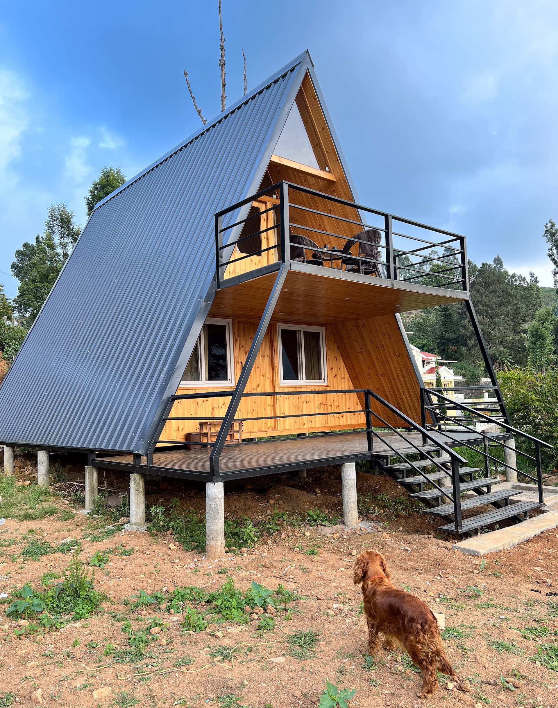 The cabin by day, with a resident dog