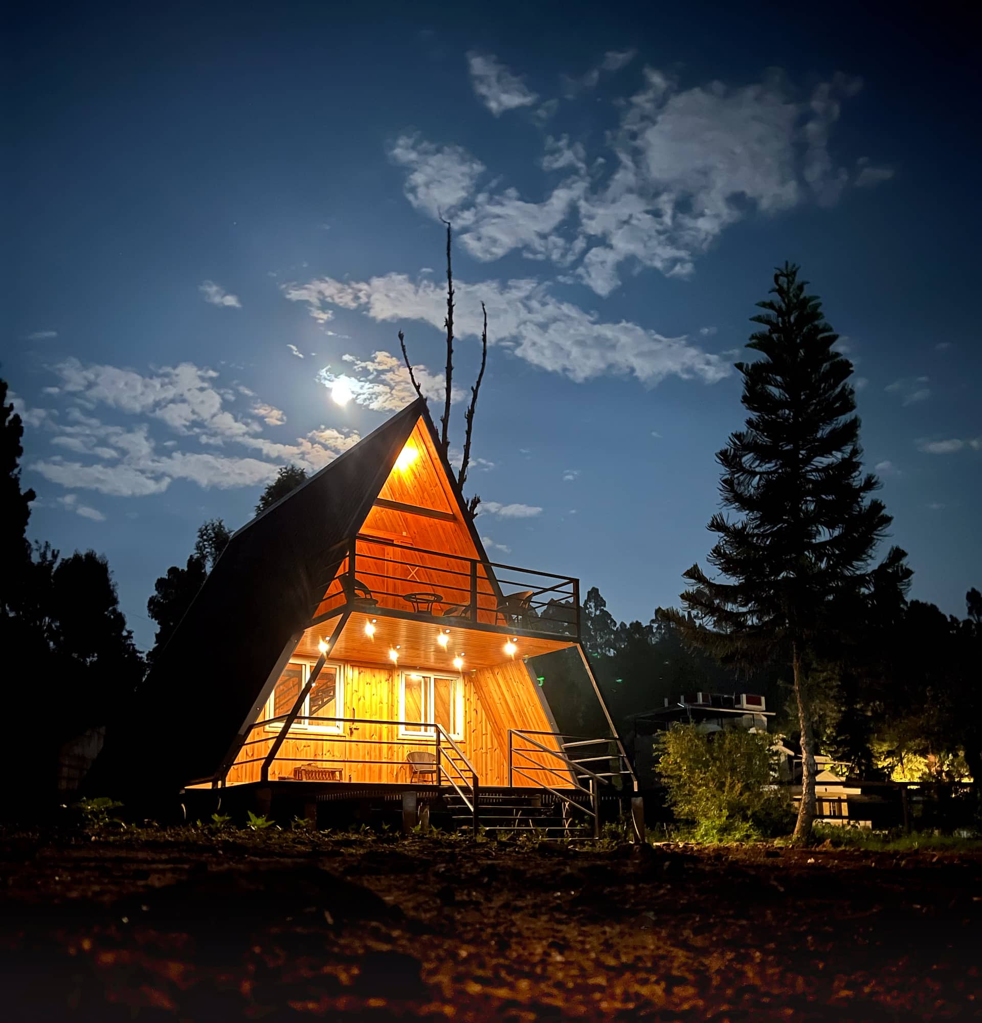 WanderNest lit against a moonlit Kodaikanal sky